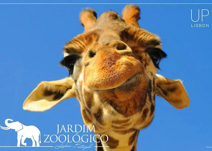 Six By Up I Your Away From Apartmán Lisboa